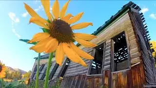 Haunting Beautiful Abandoned School House Rural X Ghost Town Wild Suprise Inside