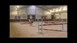 Boszicht's Bobo springen