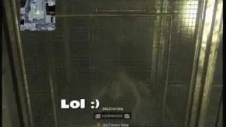 Group 935x | Ascension Monkeys Found in Kowloon