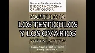 Cap.14 LOS TEST&Iacute;CULOS Y LOS OVARIOS, NOCIONES FUNDAMENTALES DE ENDOCRINOLOG&Iacute;A Y CRIMINOLOG&Iacute;A(SAMAEL)