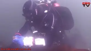Hand feeding the big cods in Lilleb&aelig;lt Denmark - Cold Blood Divers @ S&oslash;badet