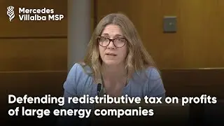 Defending the Windfall Tax on Energy Profits - Meeting of the Parliament
