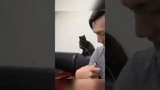 Distribution turned to invasion 😹