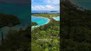 Exploring Isle of Pines in New Caledonia 🌲🌴 #travel