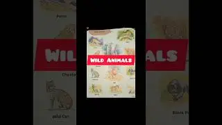 wild animals name and picture #kidslearning #nursery #childlearning #youtubeshorts#easylearning
