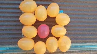 Balloon popping video❤️🩵💛💙💛💚 #episode263 #waterballoon #balloonpop #satisfying #unboxing #suggested