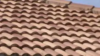 Soft-Wash Roof Cleaning Example By Chuck Bergman Charlotte County