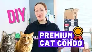 I Built My Cats a PREMIUM Cat Condo | Michelle C. Smith