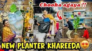 Ghar k liya aik bara new plant🪴 khareeda | Ghar main mota taza chooha agaya | Nand ka bura khaab aya