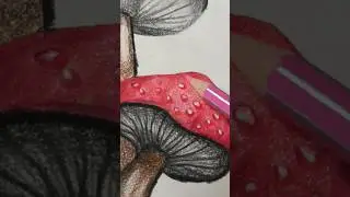 Mushroom using Colour Pencils ✏️🖍 #shorts #art #colors #colorpencil #drawing #ideas #tutorial