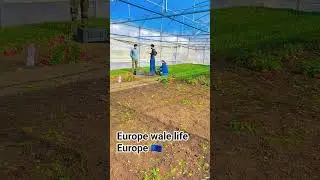 hard work in Europe