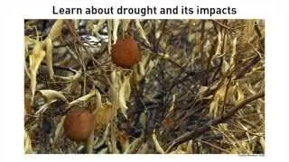 Dealing with Drought