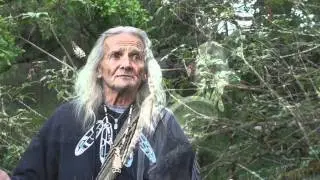 A Mamo's Gift:  The Seed of Peace to All the Hearts of the World