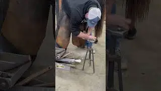 AFA Raceplater certification demonstration - Pat Broadus CJF (December 20, 2024)