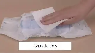 Male Dog Accidents? These Leak-Proof Diapers Keep Homes Clean & Dogs Comfortable 😌