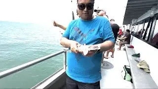 Papa ne shark pakadliya|| sea fishing || Boat ||Cape May || New Jersey || USA