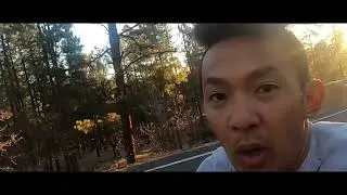 Flagstaff run