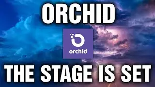 Orchid Crypto Analysis - The Stage Is Set