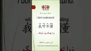 How to Say &lsquo;I Don&rsquo;t Understand&rsquo; in Chinese 😵 | Must-Know Mandarin Phrase!