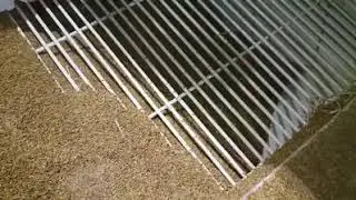 Wheat Paddy Barley seed cleaning plant