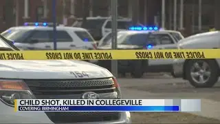 5-year-old boy shot and killed in north Birmingham