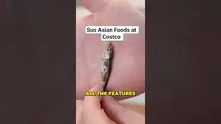 Sus Asian Foods at Costco?! Sardine Jerky & Dried Fish Taste Test