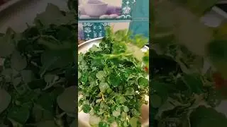 How many know this healthy veggie leafs#thella galijeru#punarnava#sravs vantillu#ytshorts#shorts
