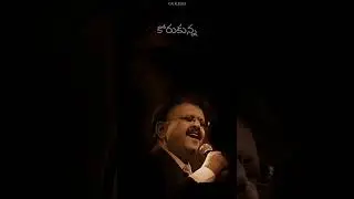 Charanam 23 #pspk #janasena #powerstar #telugu #telugulyrics #spb #sirivennela #tholiprema #vizag