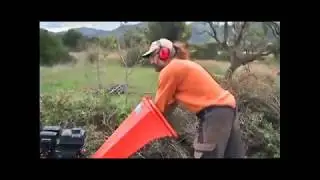 Kraft wood-chipper 7hp, 212cc Loncin engine - test by Korogonas Ark Community