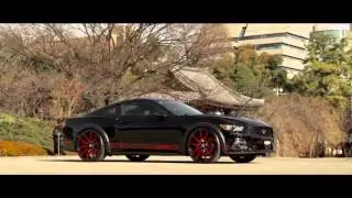 Custom Ford Mustang GT on 22