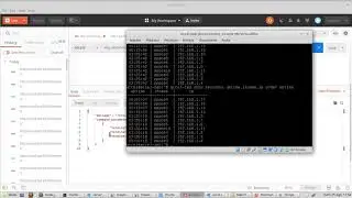 [ accel-api-inf ] Accel-api-inf utilization with Postman