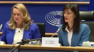 EU must support minorities in Libya to end conflict