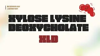 XYLOSE LYSINE DEOXYCHOLATE [XLD]