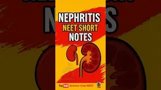 Nephritis in 60 Seconds | NEET Short Notes | Science Coat NEET