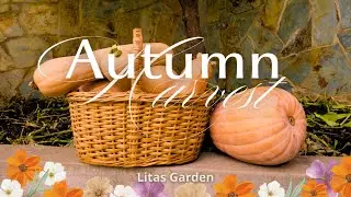 Slow Living in the Autumn Garden 🍂 | Litas Garden Seasons