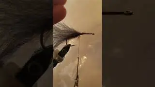 Mark Engler's pike fly.