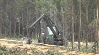 Harvester Prosilva 810 - Kesla 25RH