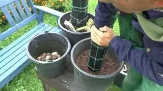 Bonsai Experiment root feet Part 1. Bonsai Experiment Wurzelfüße Teil 1 2013
