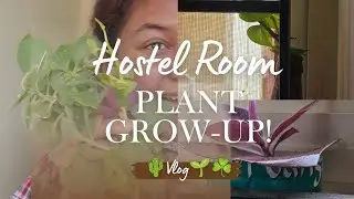 Growing plants in a small Hostel room☘️🌱🥰 At- Central University of Kerala,#girl'shostel #vlog #cuk 