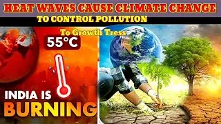 Global Warming Heatwave Cause Climate Change Control Pollution || Save Trees