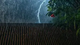 Rainy Night on Roof: Relaxing Sounds to Reduce Stress