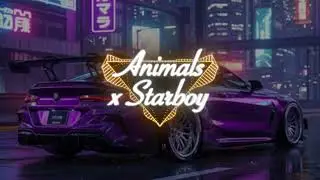 Animals x Starboy (Remix) &ndash; TommyMuzzic ⚡ Viral Pop EDM Mashup 2025