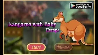 Avm Kangaroo with Baby Escape Walkthrough [AvmGames]