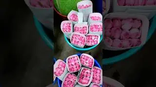 Wholesale & retail Rose Flowers Hosur