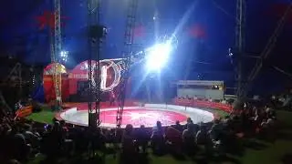 Circus #sheerness