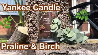 Yankee Candle Praline & Birch Review & Chit Chat