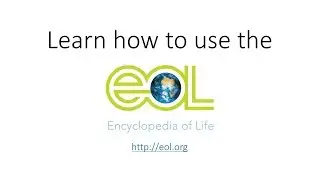 Encyclopedia of Life Tutorial for High School Students