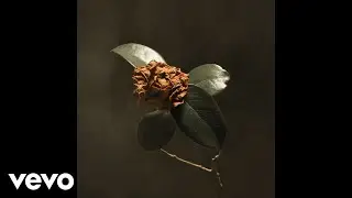 St. Paul & The Broken Bones - Bruised Fruit (Audio)