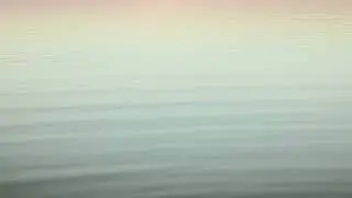 Calm Your Inner Noise | Grounding Meditation for Mental Clarity & Peace