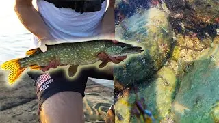Lockar 100-tals r&auml;kor med ljus - Fin g&auml;dda fr&aring;n havet